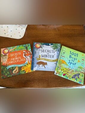 Usborne & Shine-a-light books